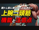 【筋トレ】上腕二頭筋の機能と注意点、お勧めのセット数・レップ数・頻度・メニュー | ボディビルチャンピオンが解説【ビーレジェンド プロテイン】