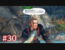 君の笑顔を守りたくて ゼノブレイド2-黄金の国イーラ-を初見実況　part30
