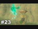 【ゆっくり実況】ゼルダの伝説BotW 4縛り#23