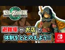 【ゼルダの伝説ティアーズオブザキングダム実況】ハイラルに再び異変が？新たな旅にでます！part24