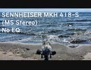 三​戸​浜 03​:​13pm​（​MS​ス​テ​レ​オ​）​イ​コ​ラ​イ​ザ​ー​無​し