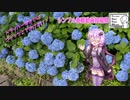 【シンプル車載動画投稿祭】ドライバーゆかりはヴィッツとでかけたい！ 熊本県宇土市へどらいぶ。【A.I.VOICE車載】
