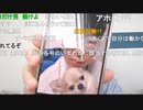 【ニンポー】母ちゃんが心配な息子　その１【ニコ生】