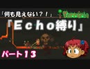 [Terraria]　『Ｅｃｈｏ縛り』パート１３　[ゆっくり実況]