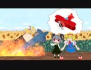 飛行機に乗りたいNYN姉貴