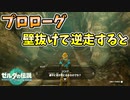 プロローグを逆走してみるとその先には…？(ver1.1.1)【ティアキン TotK】裏技 バグ 検証 ゆっくり実況 glitch