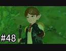 【実況】空の島から始まる新たな冒険【ゼルダの伝説 ティアーズ オブ ザ キングダム】part48
