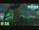 秘儀！エノキダホールド！　「ゼルダの伝説～ティアーズ・オブ・ザ・キングダム」　＃38