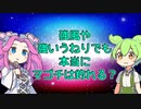 【ルアー】強風や強いうねりでも本当にマゴチは釣れる？【VOICEROIDフィッシング】