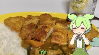 【ハイボール祭り夏の陣2023】カツカレーとハイボールたまんないのだ