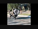 世界の衝撃的映像集Part107