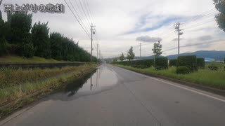 【車載動画】雨上がりの悲劇