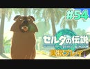 【実況】大空を翔る。ゼルダの伝説ティアーズオブザキングダム 実況プレイ！Part54【ゼルダの伝説TotK】