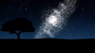 七夕なので花ちゃんと星空を見ることにしました。