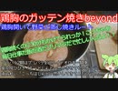 鶏胸のガッテン焼きbeyond～プリパラ2期の話をしよう～
