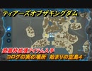 ティアキン　コログの実の場所　始まりの空島４　武器枠拡張アイテム入手　＃１３６７　【ゼルダの伝説ティアーズオブザキングダム】