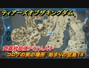 ティアキン　コログの実の場所　始まりの空島１４　武器枠拡張アイテム入手　＃１３７７　【ゼルダの伝説ティアーズオブザキングダム】