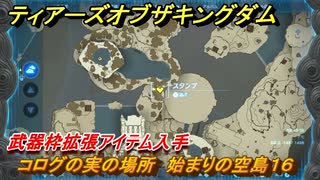 ティアキン　コログの実の場所　始まりの空島１６　武器枠拡張アイテム入手　＃１３７９　【ゼルダの伝説ティアーズオブザキングダム】