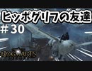 ヒッポグリフの友達と思わぬところで再会【ホグワーツ・レガシー】#30