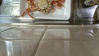 蟹　カニ