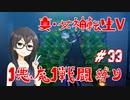 【真・女神転生V】1悪魔1戦闘縛り part33【花隈千冬実況】