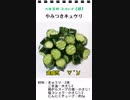 やみつきキュウリ（お弁当のスキマを埋めるもう一品）