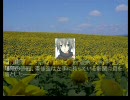 花火打ち上げに幻想入り　後日談