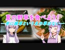 夏の野草を食べよう！　-世に雑草という名の草はない-