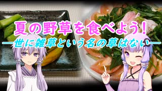 夏の野草を食べよう！　-世に雑草という名の草はない-