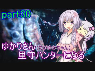 【MHRise】ゆかりさん(とちびゆかちゃん)里守ハンターになる　part30