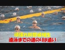 【ゆっくり紹介】頑張れ幹部候補生、遠泳への道