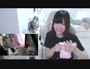【贅肉ちゃん コメ無】行き場の無い子羊達よ２。2023年7月1日