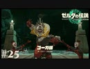 【ゼルダの伝説 Tears of the Kingdom】帰ってきた男【実況】#25
