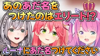 ルーナ姫のあだ名をつけるみこちとノエル団長【姫森ルーナ/さくらみこ/白銀ノエル/ホロライブ切り抜き】