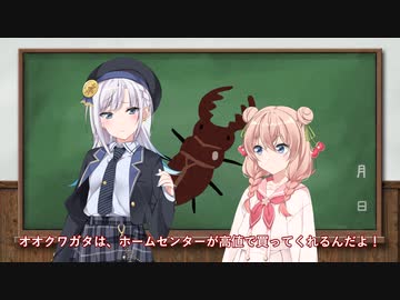クワガタ【ソフトウェアトーク劇場】