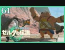 #061【ゼルダの伝説ティアーズオブザキングダム】ちょっと世界を翔けてくる【実況プレイ】