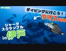 【伊戸】シャークスクランブルがカオスすぎる！！！ ～ダイビングに行こう！～