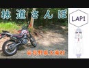 【COEIROINK車載】林道さんぽ＠長野県大滝村【セロー】