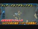 ティアキン　コログの実の場所　ハテール空諸島２　武器枠拡張アイテム入手　＃１４０８　【ゼルダの伝説ティアーズオブザキングダム】