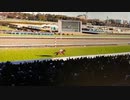 第67回有馬記念 (2022年) エフフォーリア 返し馬