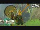 【ティアキン】パーヤさん、マジ天使‼【ゼルダの伝説 ティアーズ オブ キングダム】実況プレイ part50