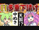 【ずんだもん解説】日本は中抜き天国？多重下請けはなぜ無くならないのか？現役SEが解説【マイナンバーシステム／VOICEVOX解説】