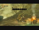 【ゼルダの伝説 ティアーズ オブ ザ キングダム】再びハイラルを救うまで【実況】 part46