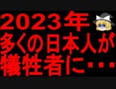【衝撃事実】アレによる犠牲者が、2023年5月に出てくる・・・【ゆっくり解説】
