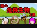 第442位：【VOICEROID解説】ゆかり先輩と見る危険生物【陸編】