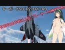 「WT]特別収益作戦成功、人民の勝利である（MIG29SB+RB）【東北ずん子実況】