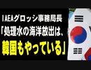 IAEAグロッシ事務局長「処理水の海洋放出は、韓国もやっている」