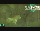 [ゼルダの伝説TotK　#59] こんなんでも勇者なんです信じてください