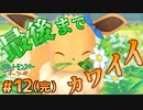 #12(完) やっぱり最高にカワイイ相棒【ポケットモンスターLet'sGo！イーブイ】