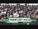 【競馬】2023年 第28回プロキオンステークス(GⅢ)【ドンフランキー / 池添謙一】